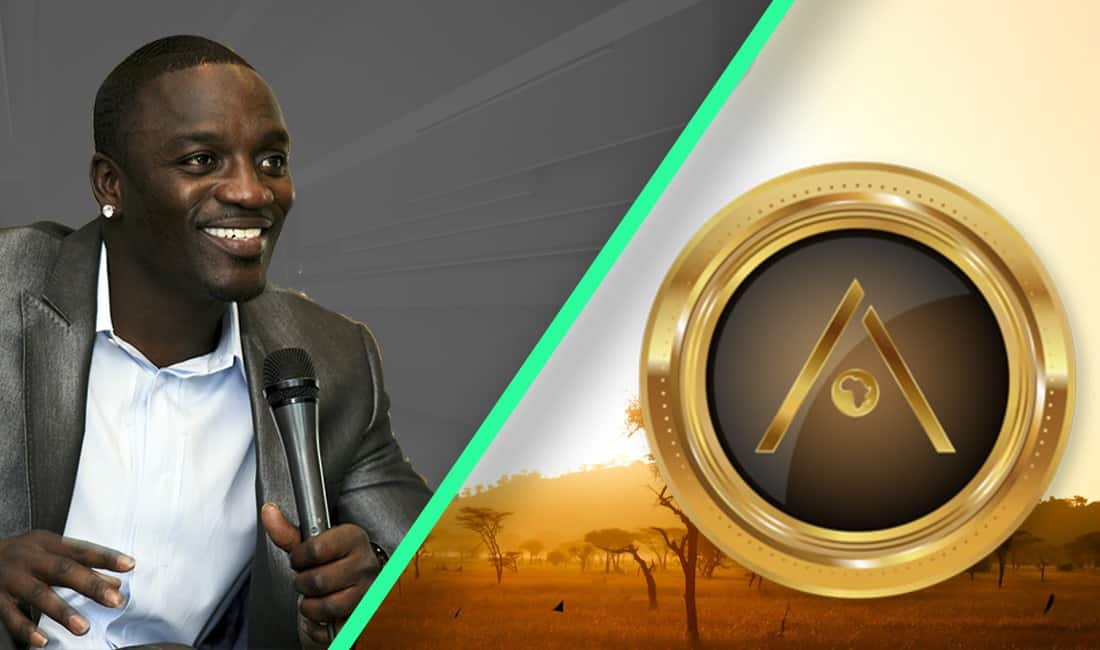 Akon Cryptocurrency: An Inside Look into Akon Crypto City