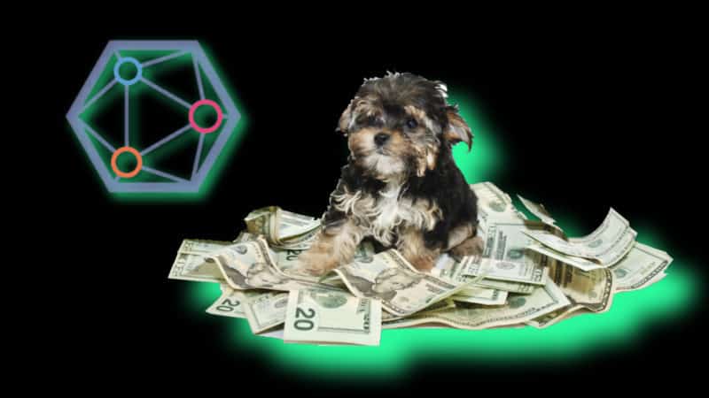 Pets Can Finally Mine Crypto, Here's How · Blocklr