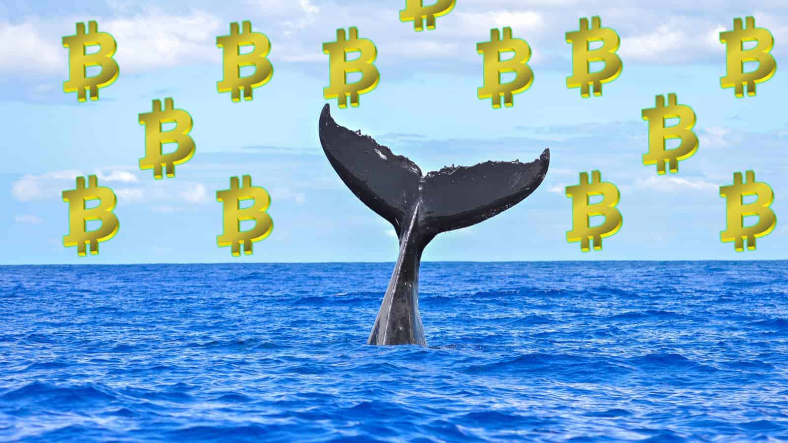 Bitcoin Whales Actually Stabilize Market According To New Report
