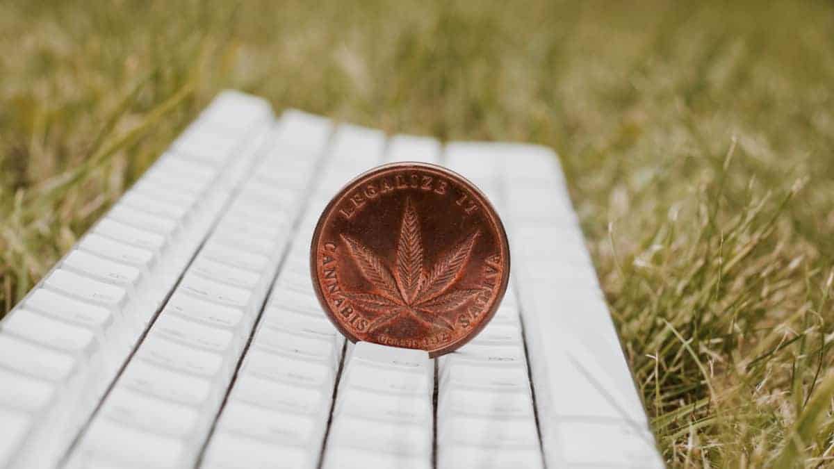 marijuana sale connaissance and dash cryptocurrency