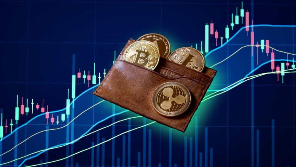 cryptocurrency exchange vs wallet