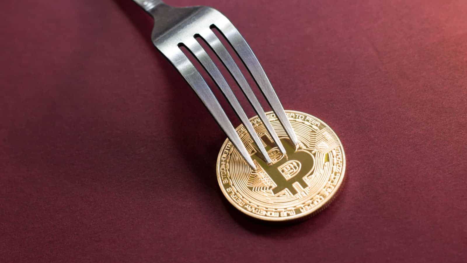 Fork do bitcoin cash bch